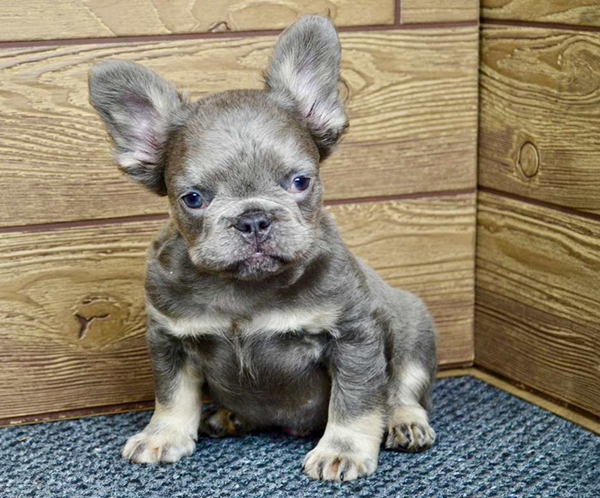 Ramsey, the munchkin